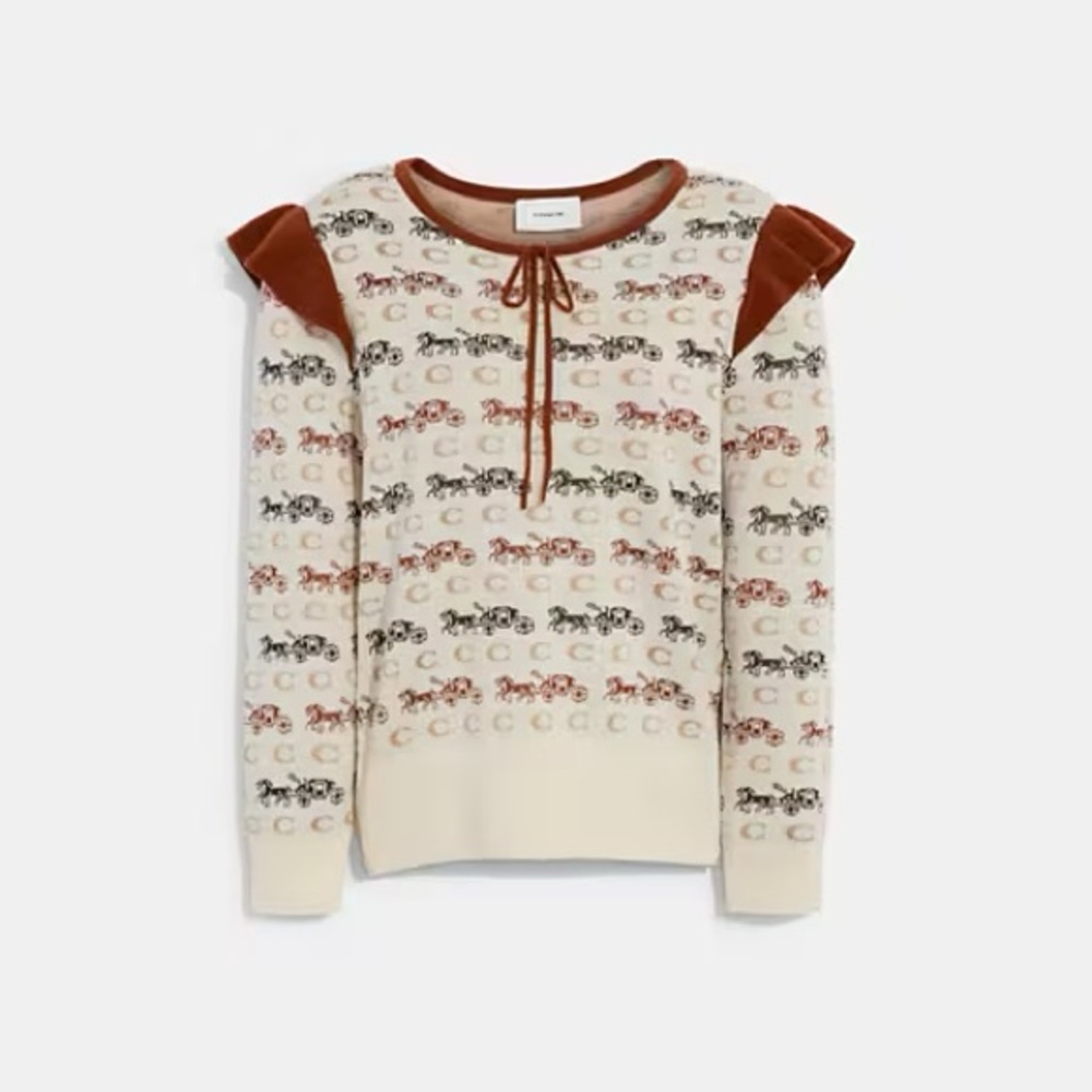 NWT COACH Ruffle Sweater